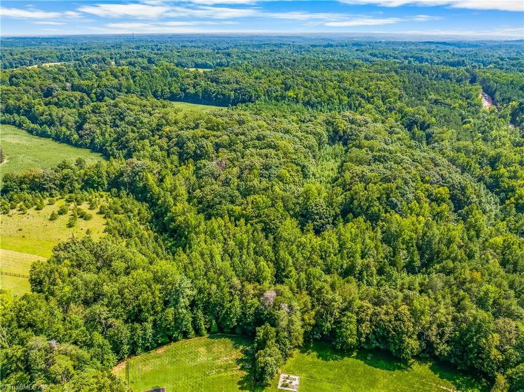 Unimproved Land at 0 Dorse Road, Lewisville NC 27023, photo 10 of 17