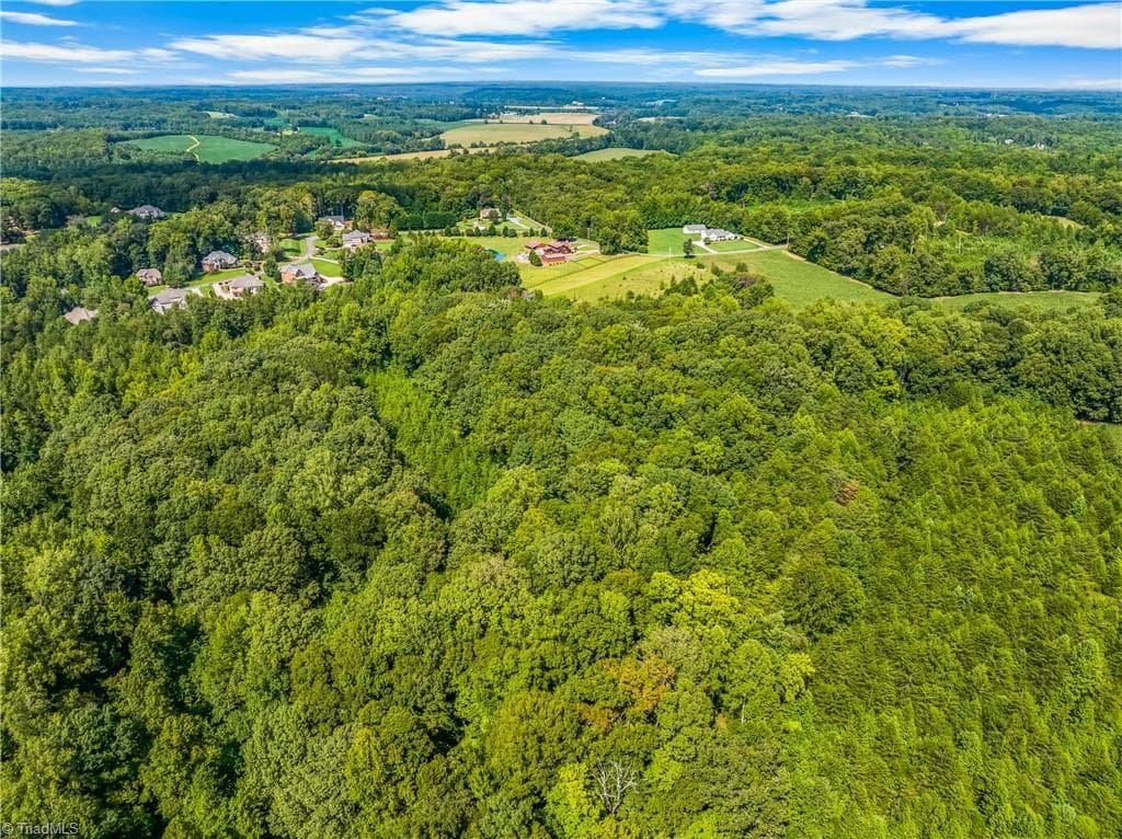 Unimproved Land at 0 Dorse Road, Lewisville NC 27023, photo 14 of 17