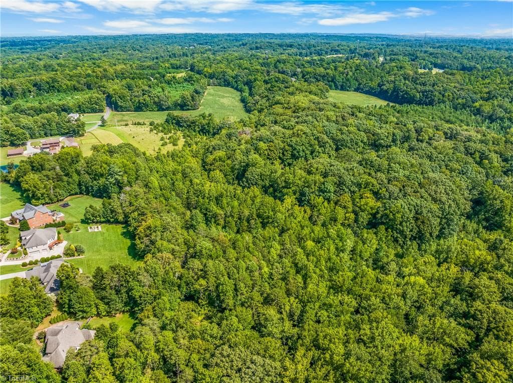 Unimproved Land at 0 Dorse Road, Lewisville NC 27023, photo 11 of 17