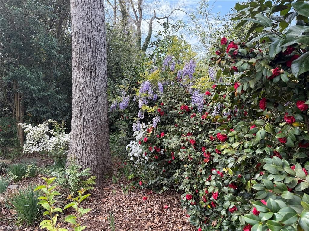 Stick/Site Built at 1631 Maple Avenue, Albemarle NC 28001, Albemarle, photo 13 of 46
