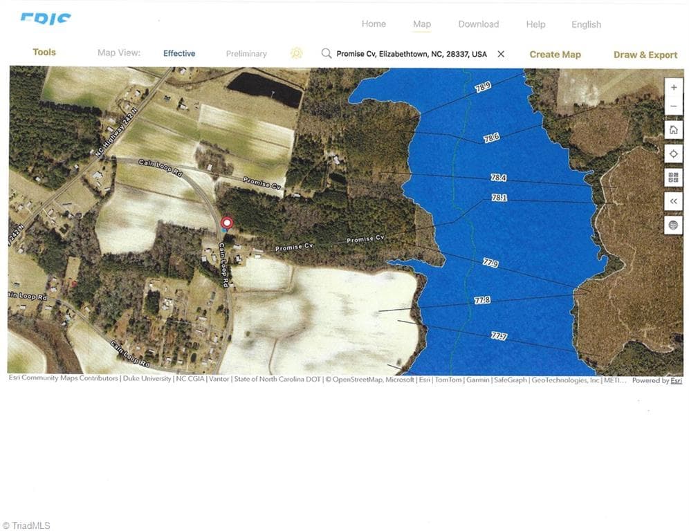 Unimproved Land at Off Promise Cove, Elizabethtown NC 28337, photo 3 of 3