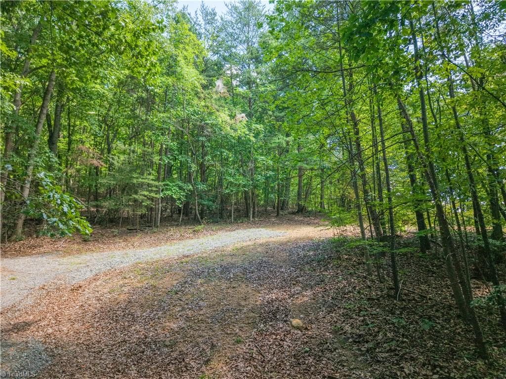 Unimproved Land at 185 Boaz Lane, Mount Airy NC 27030, Mount Airy, photo 3 of 20