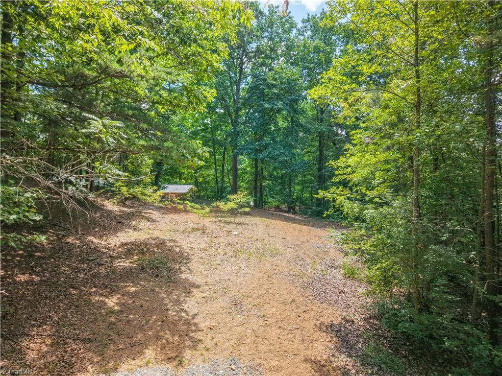 Unimproved Land at 185 Boaz Lane, Mount Airy NC 27030, Mount Airy, photo 5 of 20