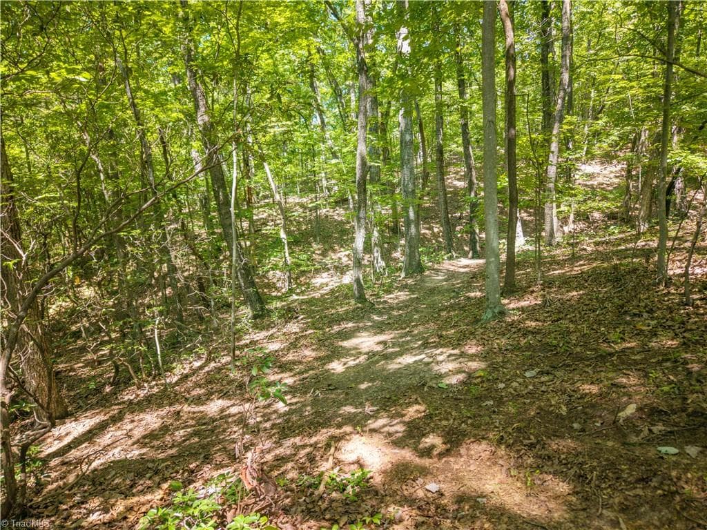 Unimproved Land at 185 Boaz Lane, Mount Airy NC 27030, Mount Airy, photo 9 of 20