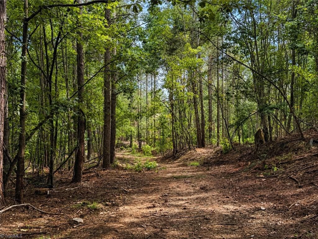 Unimproved Land at 0 Jennings Road, Randleman NC 27317, photo 27 of 35