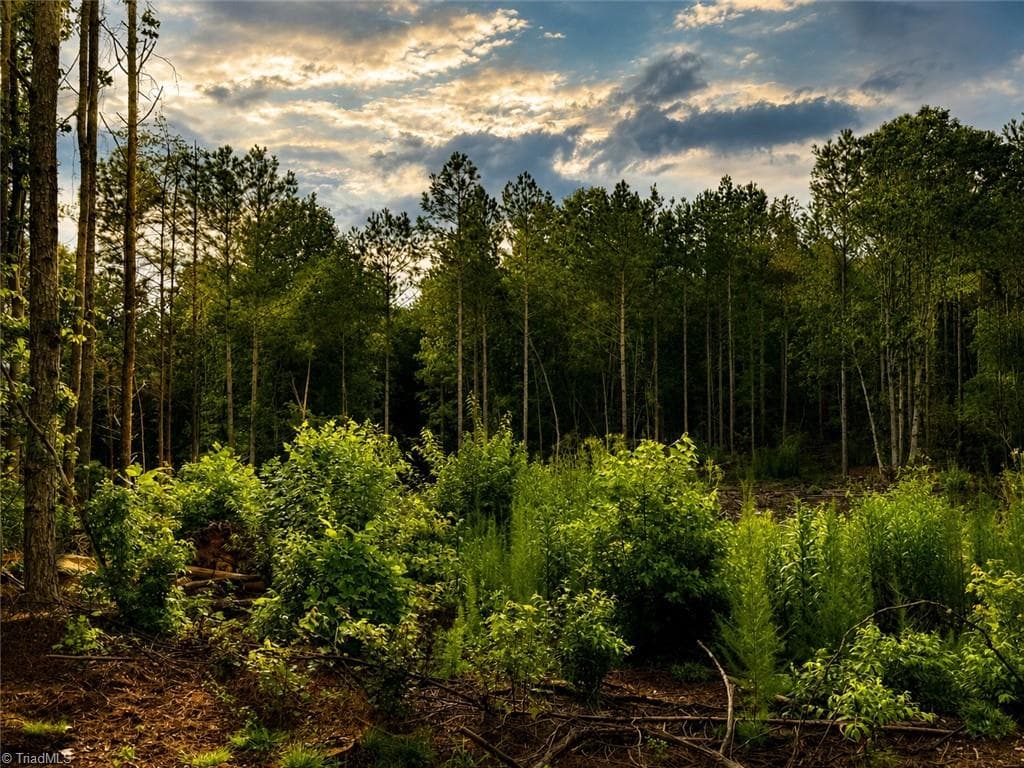 Unimproved Land at 0 Jennings Road, Randleman NC 27317, photo 2 of 35