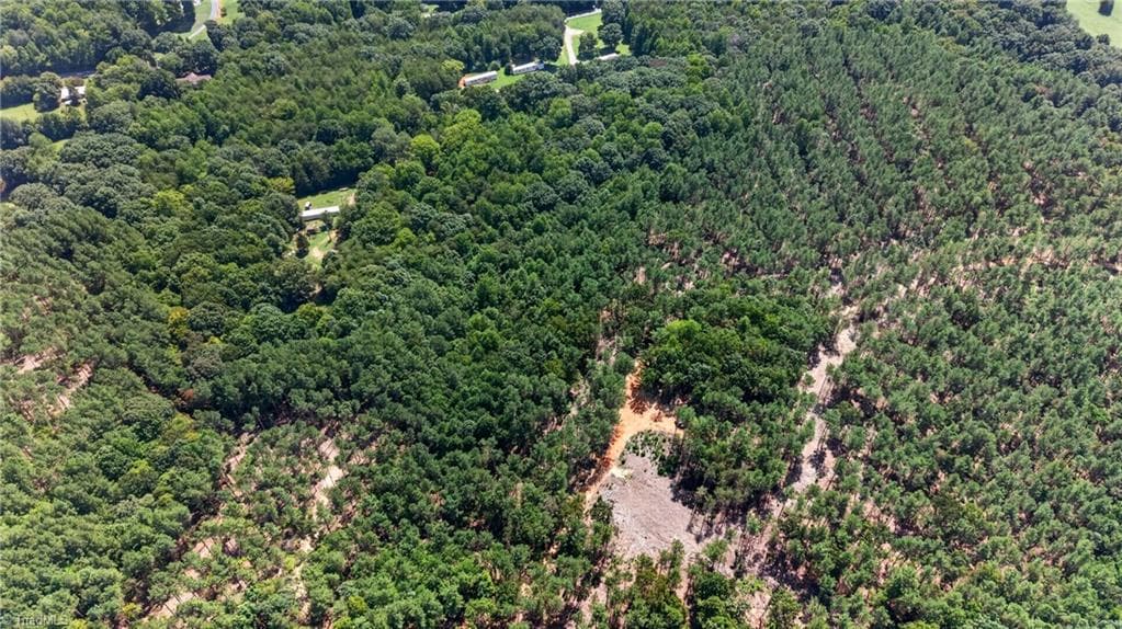 Unimproved Land at 0 Jennings Road, Randleman NC 27317, photo 17 of 35