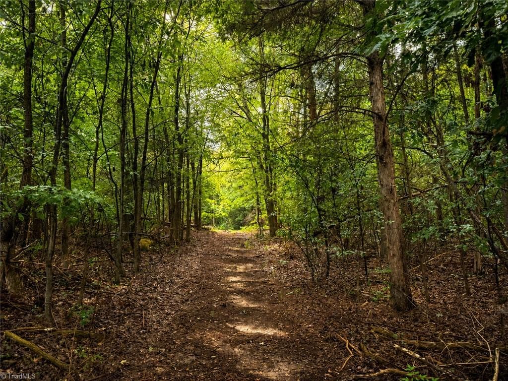 Unimproved Land at 0 Jennings Road, Randleman NC 27317, photo 12 of 35