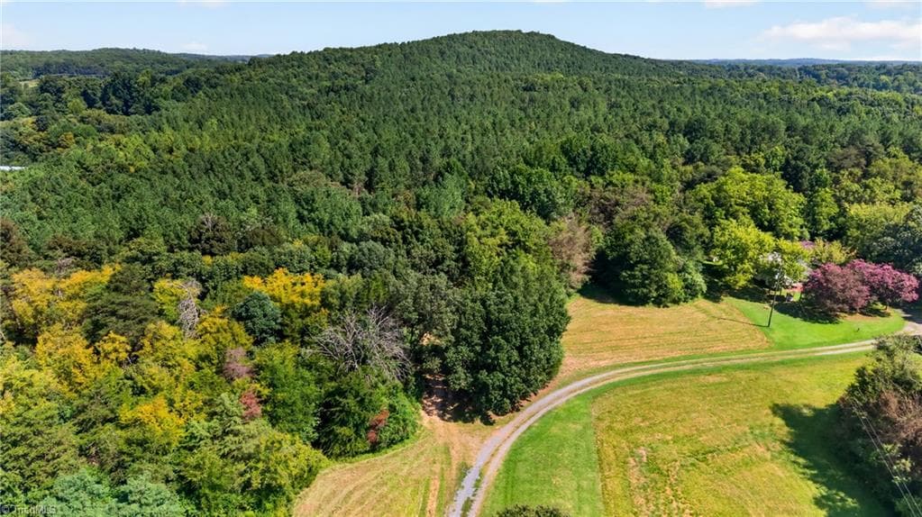 Unimproved Land at 0 Jennings Road, Randleman NC 27317, photo 5 of 35