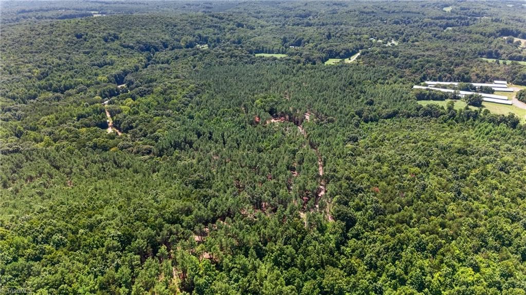 Unimproved Land at 0 Jennings Road, Randleman NC 27317, photo 20 of 35