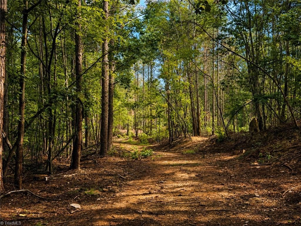 Unimproved Land at 0 Jennings Road, Randleman NC 27317, photo 24 of 35