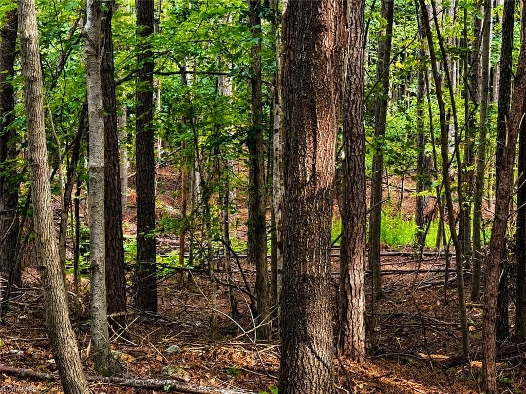 Unimproved Land at 0 Jennings Road, Randleman NC 27317, photo 18 of 35