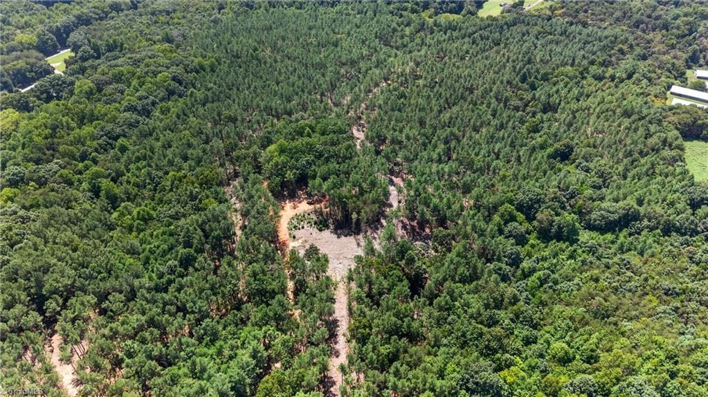 Unimproved Land at 0 Jennings Road, Randleman NC 27317, photo 21 of 35