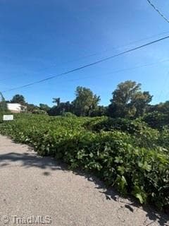 000 Willow Street, Reidsville NC 27320