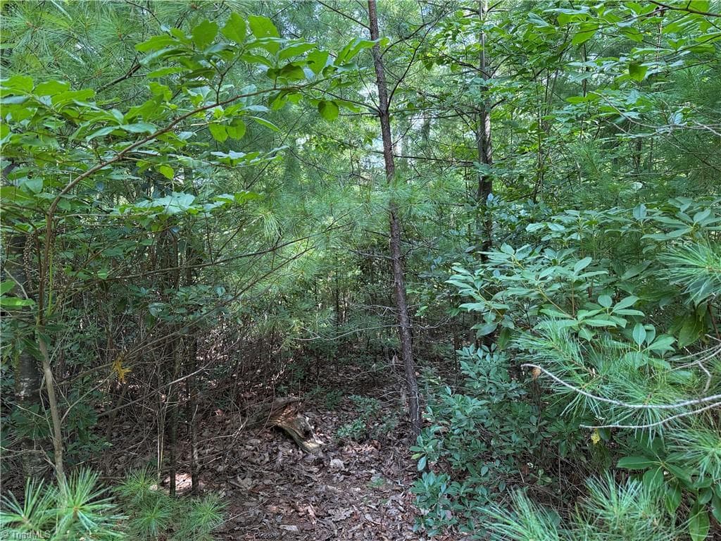 Single Family Residence at Lot 119 Rich Pine Drive, Purlear NC 28665, photo 6 of 31