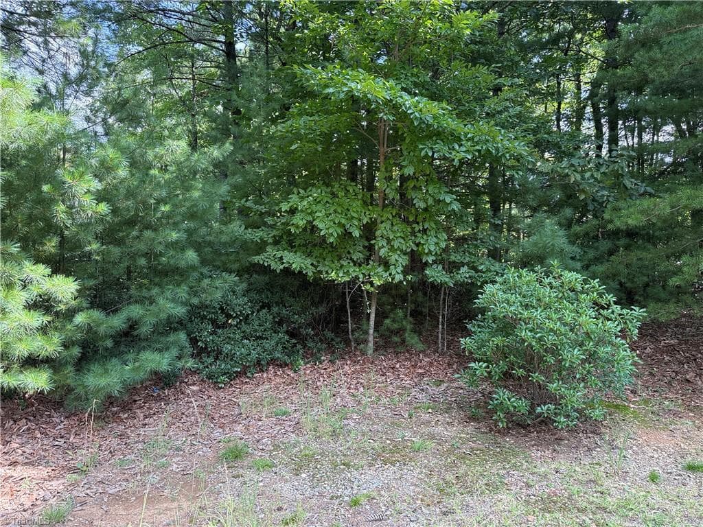 Single Family Residence at Lot 119 Rich Pine Drive, Purlear NC 28665, photo 7 of 31