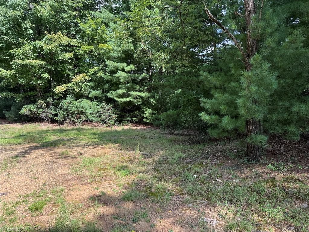 Lot 119 Rich Pine Drive, Purlear NC 28665