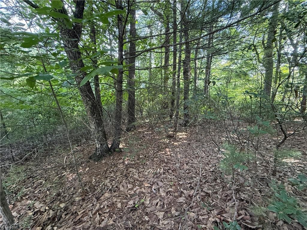 Single Family Residence at Lot 119 Rich Pine Drive, Purlear NC 28665, photo 5 of 31