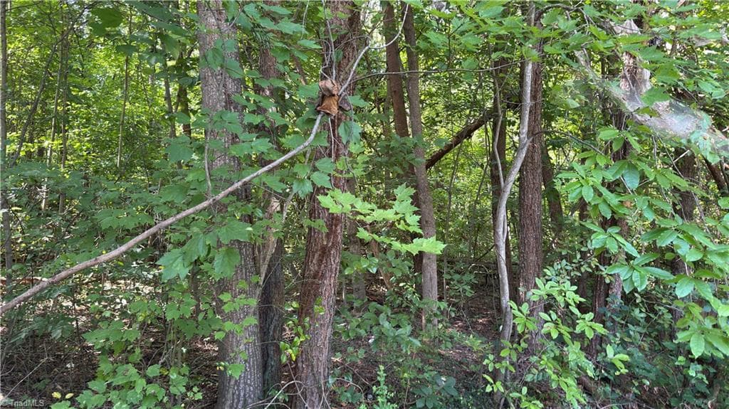 Unimproved Land at 00 Sherry Lane, Yadkinville NC 27055, photo 2 of 6
