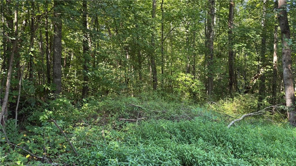 Unimproved Land at 00 Sherry Lane, Yadkinville NC 27055, photo 6 of 6