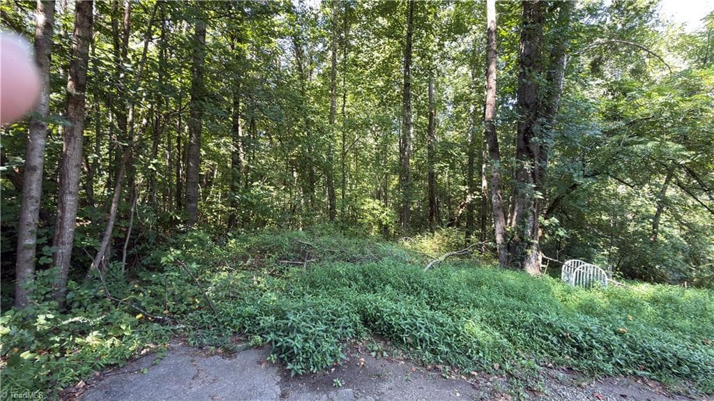 Unimproved Land at 00 Sherry Lane, Yadkinville NC 27055, photo 3 of 6