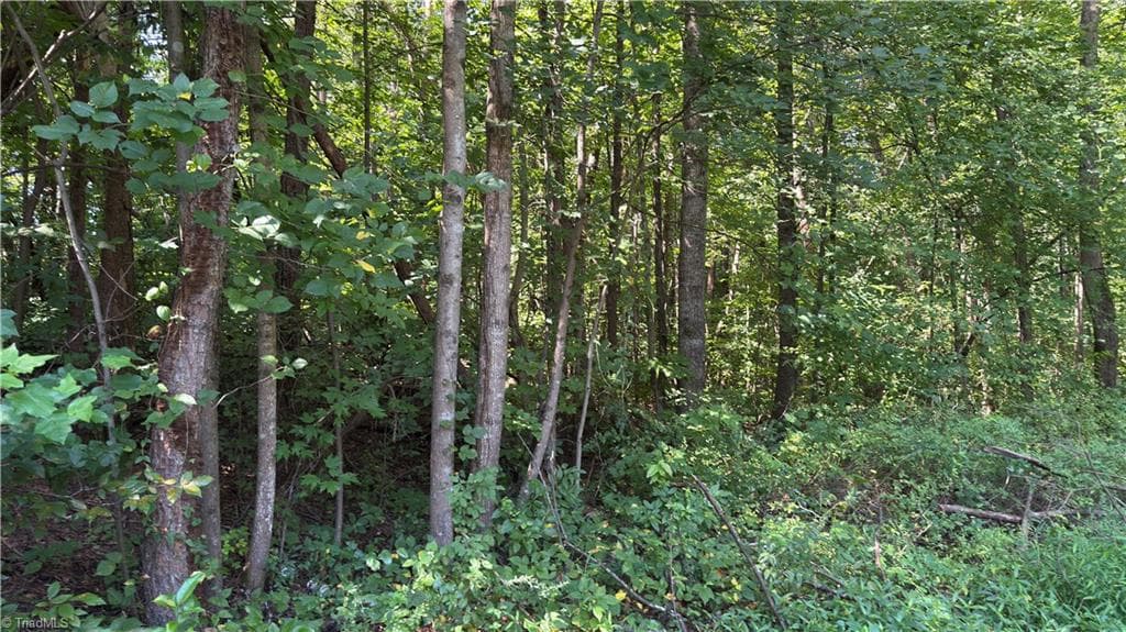 Unimproved Land at 00 Sherry Lane, Yadkinville NC 27055, photo 5 of 6