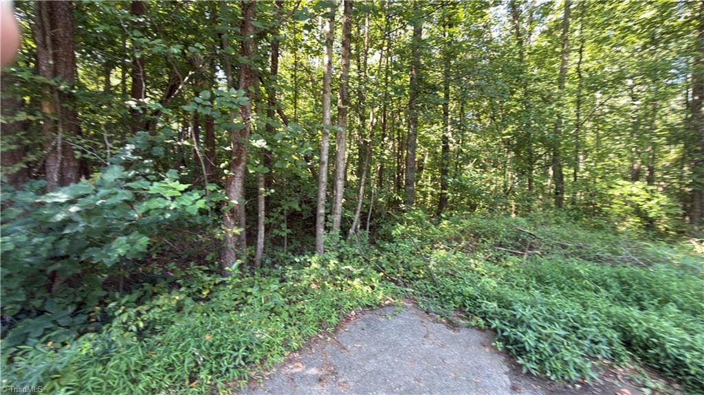 Unimproved Land at 00 Sherry Lane, Yadkinville NC 27055, photo 4 of 6
