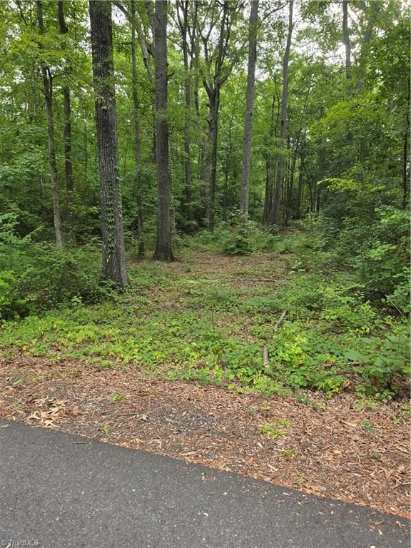 Remarks at 0 Golfers Drive, Salisbury NC 28146, Salisbury, photo 13 of 17