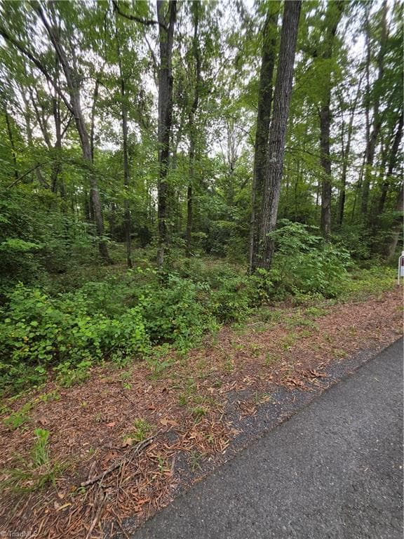 Remarks at 0 Golfers Drive, Salisbury NC 28146, Salisbury, photo 14 of 17