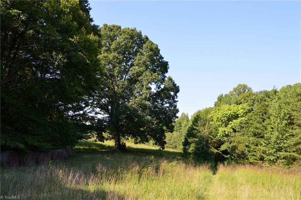 Agriculture at 338-278 Hancock Road, Reidsville NC 27320, photo 3 of 49