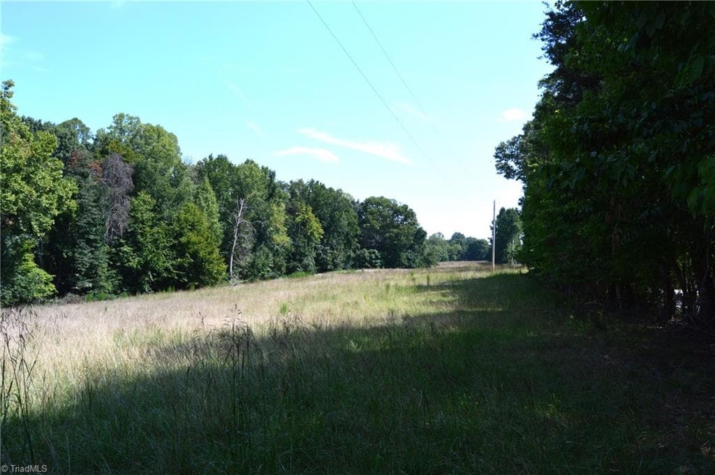 Agriculture at 338-278 Hancock Road, Reidsville NC 27320, photo 28 of 49