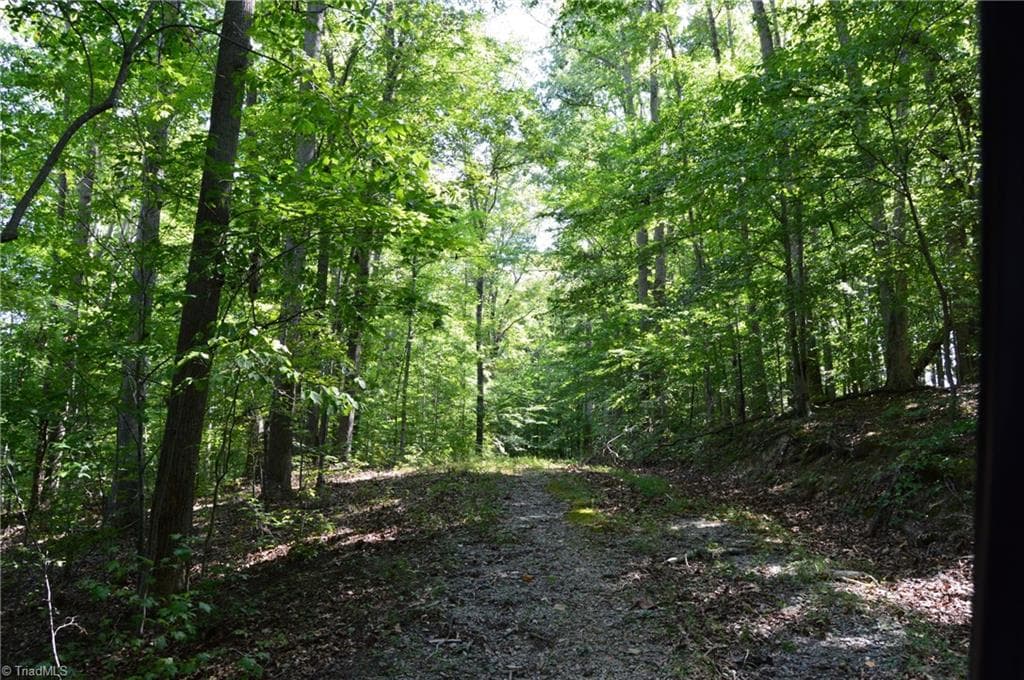 Agriculture at 338-278 Hancock Road, Reidsville NC 27320, photo 24 of 49