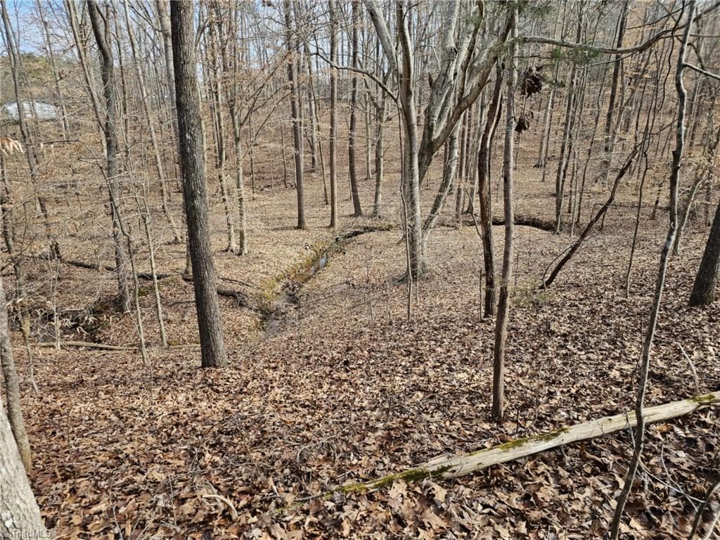 Unimproved Land at 280 Clara Hill Lane, Lexington NC 27292, Lexington, photo 3 of 10