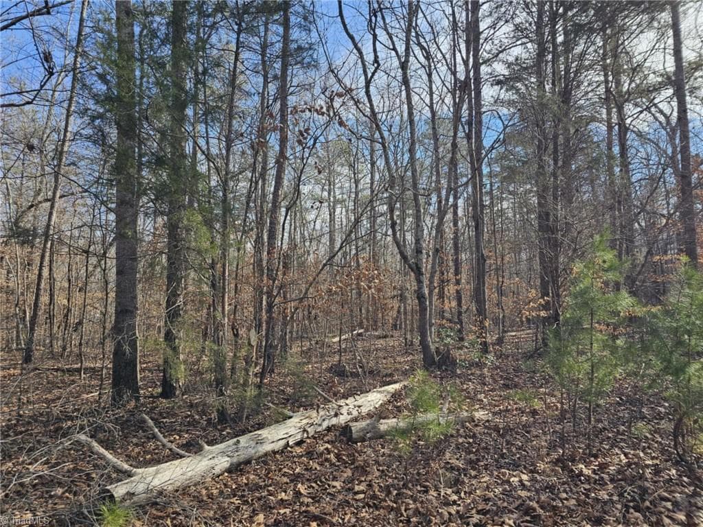 Unimproved Land at 280 Clara Hill Lane, Lexington NC 27292, Lexington, photo 5 of 10