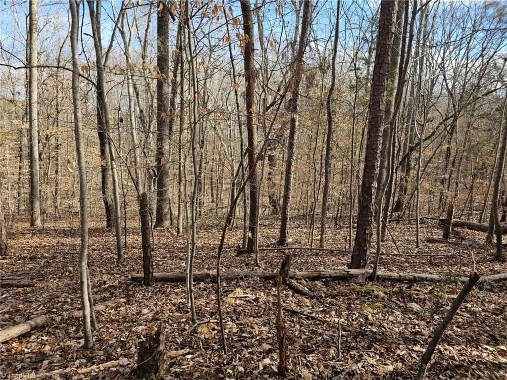 Unimproved Land at 280 Clara Hill Lane, Lexington NC 27292, Lexington, photo 7 of 10