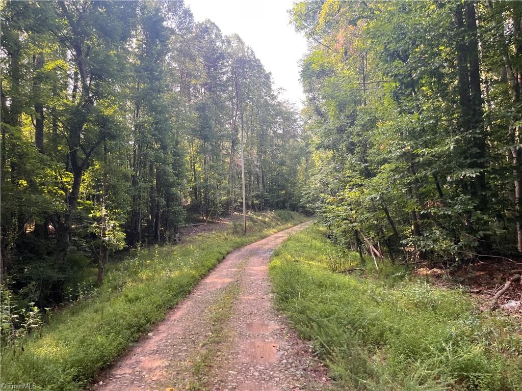Agriculture at 1170 Timber Ridge Road, Westfield NC 27053, photo 2 of 20