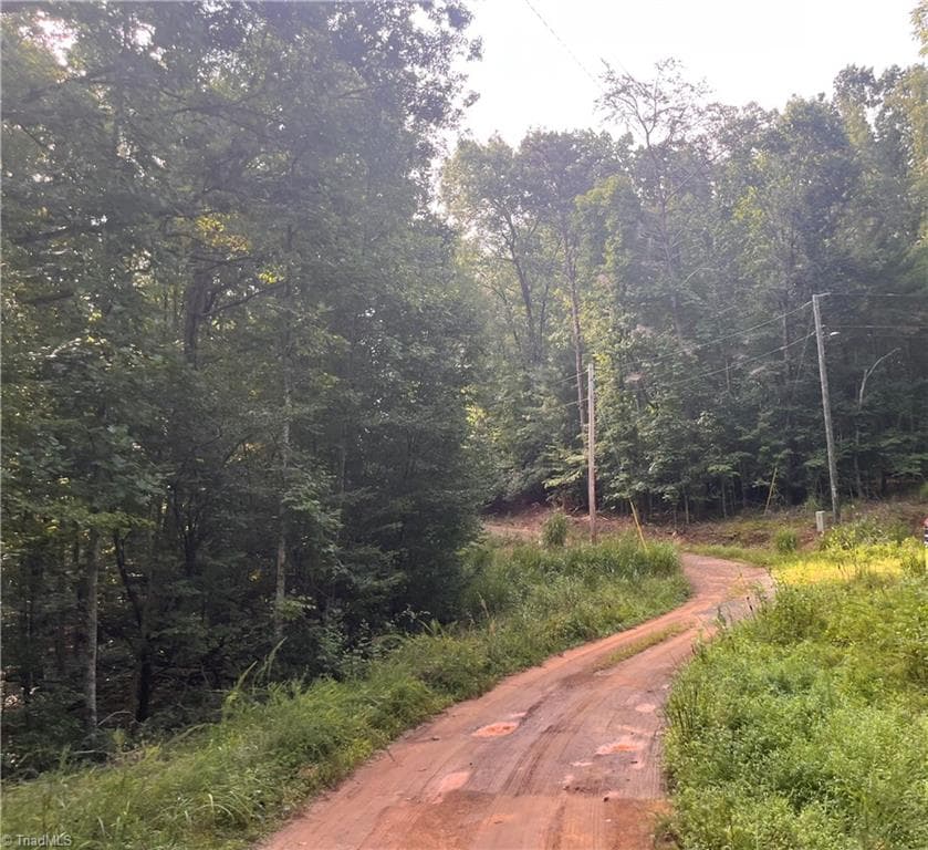Agriculture at 1170 Timber Ridge Road, Westfield NC 27053, photo 6 of 20