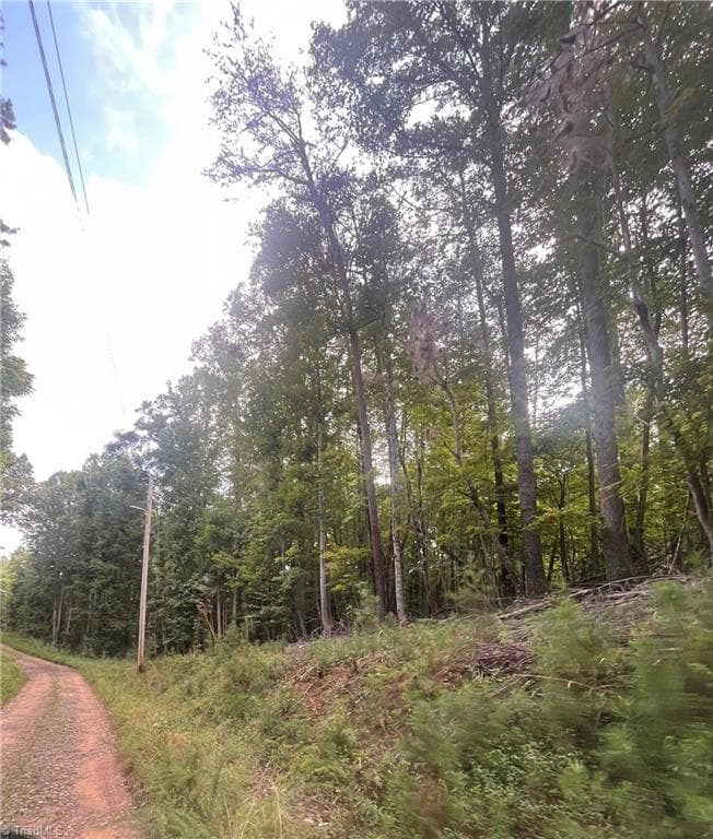 Agriculture at 1170 Timber Ridge Road, Westfield NC 27053, photo 17 of 20