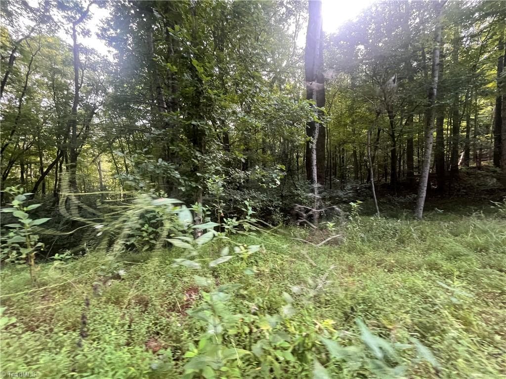Agriculture at 1170 Timber Ridge Road, Westfield NC 27053, photo 16 of 20