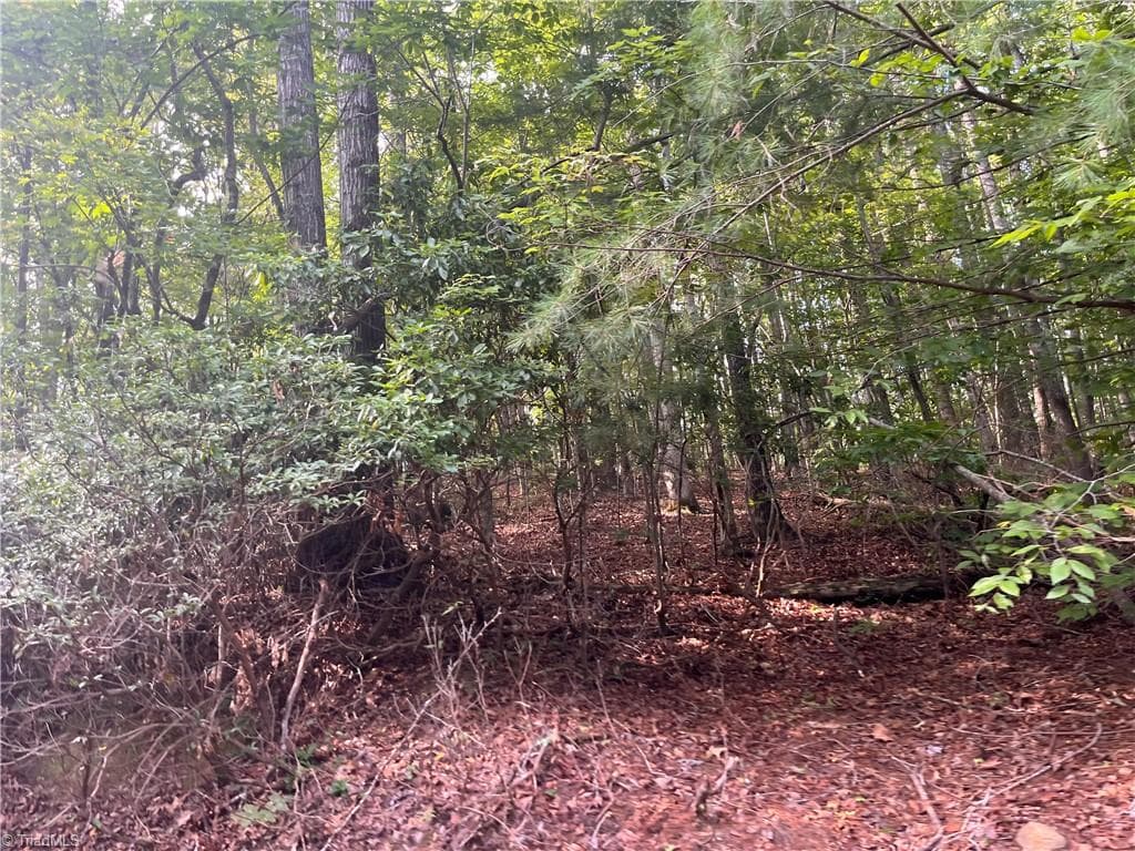 Agriculture at 1170 Timber Ridge Road, Westfield NC 27053, photo 7 of 20