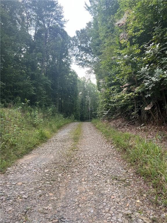 Agriculture at 1170 Timber Ridge Road, Westfield NC 27053, photo 3 of 20