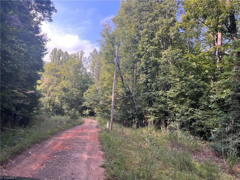 Agriculture at 1170 Timber Ridge Road, Westfield NC 27053, photo 5 of 20