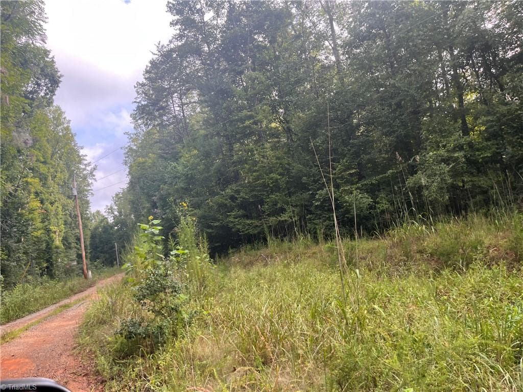 Agriculture at 1170 Timber Ridge Road, Westfield NC 27053, photo 15 of 20