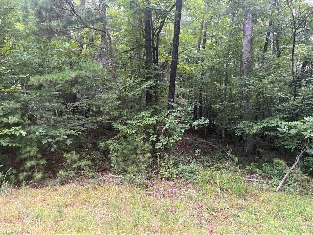 Agriculture at 1170 Timber Ridge Road, Westfield NC 27053, photo 11 of 20