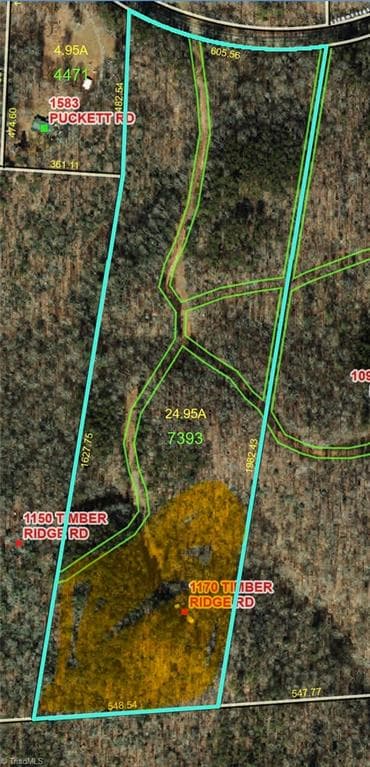 Agriculture at 1170 Timber Ridge Road, Westfield NC 27053, photo 19 of 20