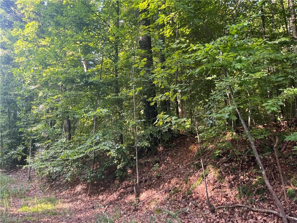 Agriculture at 1170 Timber Ridge Road, Westfield NC 27053, photo 4 of 20