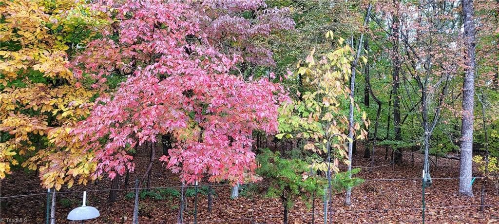 Stick/Site Built at 313 Quarterpath Lane, Jamestown NC 27282, Jamestown, photo 27 of 29