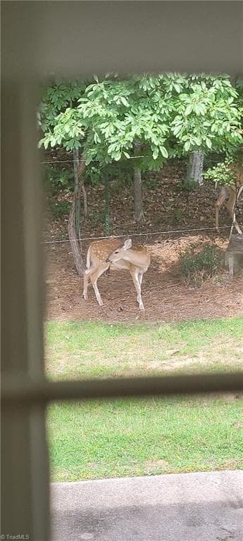 Stick/Site Built at 313 Quarterpath Lane, Jamestown NC 27282, Jamestown, photo 29 of 29