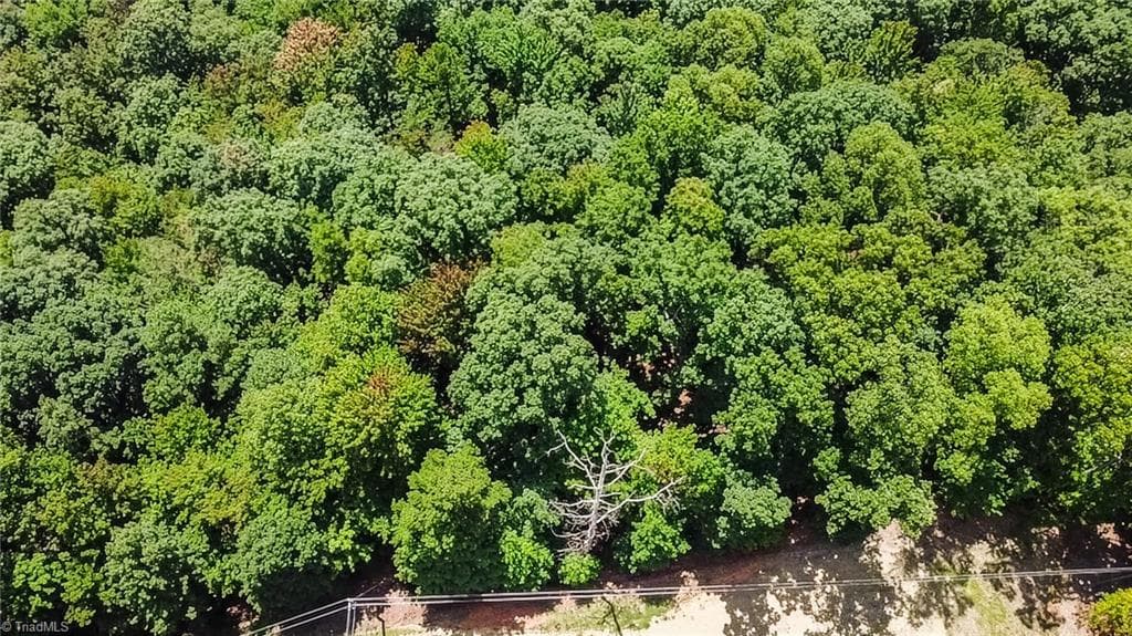 Unimproved Land at TBD Timber Ridge Road, McGrady NC 28649, McGrady, photo 17 of 23