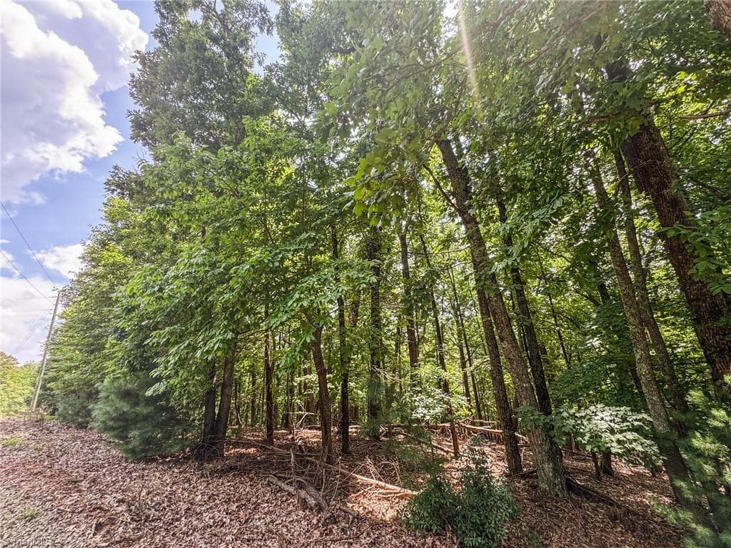 Unimproved Land at TBD Timber Ridge Road, McGrady NC 28649, McGrady, photo 12 of 23